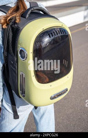 Comodo trasportino per animali domestici, zaino con finestra con sistema di ventilazione naturale e powerbank opzionale Foto Stock