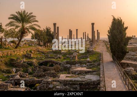 Le vecchie colonne del sito archeologico di al Mina a Tiro (Sour), Libano, un antico punto di riferimento storico, durante il bellissimo tramonto. Foto Stock