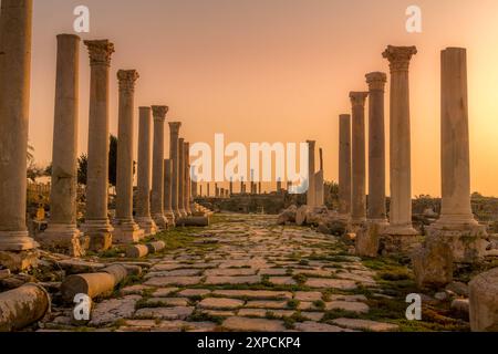 La fila di colonne romane presso il sito archeologico di al Mina a Tiro (Sour), in Libano, durante il bellissimo tramonto. Foto Stock