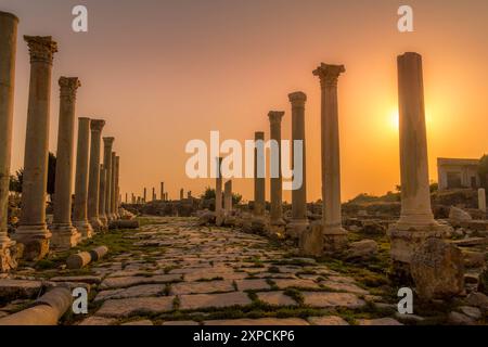 La fila di colonne romane presso il sito archeologico di al Mina a Tiro (Sour), in Libano, durante il bellissimo tramonto. Foto Stock