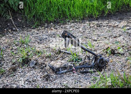 FFly che punta nel fiume Foto Stock