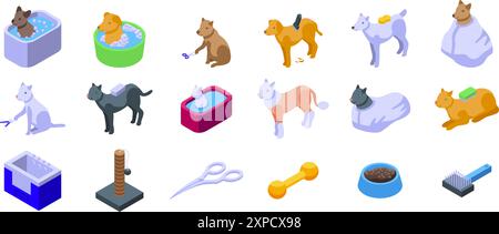 Set di icone per LE procedure DELL'IDROMASSAGGIO animali domestici. Attrezzi e accessori per la cura degli animali domestici per gatti e cani che vengono curati dai toelettatori Illustrazione Vettoriale