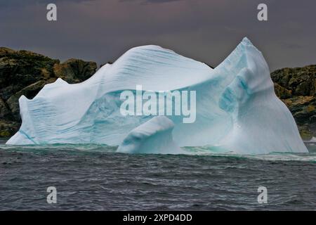 Iceberg vicino a Twillingate Terranova si trovava contro rocce e costa Foto Stock