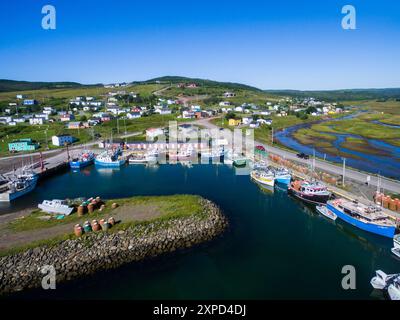 Porto e barche da pesca, ramo, Terranova, Canada Foto Stock