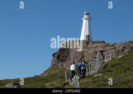 I germogli del Capo Faro e scale, Capo Faro lancia sito storico nazionale, Terranova, Canada Foto Stock