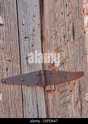 Cerniera della cinghia resistente agli agenti atmosferici su cancello in legno Foto Stock