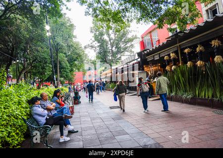 Città di Coyoacán, uno dei più importanti centri turistici di città del Messico.​ ​ ​ (foto di Luis Gutierrez Norte Photo) Coyoacán pueblo, centro turísticos más importantes de la Ciudad de México.​ ​ ​ (foto di Luis Gutierrez Norte Photo) Foto Stock