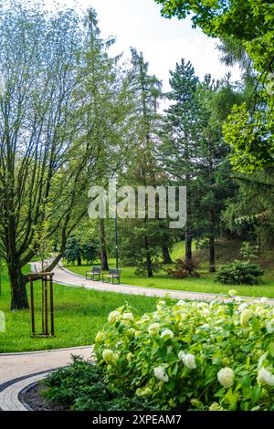 Serene Park Pathway circondato da vegetazione lussureggiante e fiori vibranti in un pomeriggio soleggiato Foto Stock