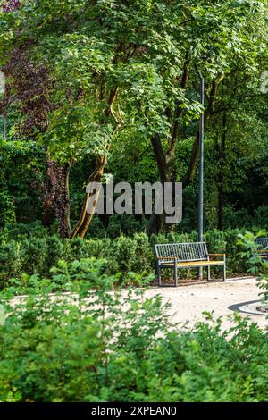 Ambiente tranquillo del Parco caratterizzato da panchine di legno circondate da lussureggiante vegetazione in Una giornata di sole brillante Foto Stock