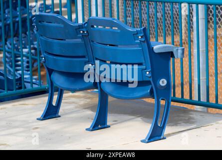 sedie blu al campo da baseball Foto Stock