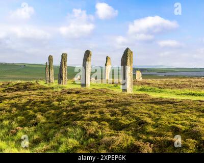 Anello di Brodgar - alcune delle 36 pietre rimaste in piedi, parte delle Orcadi neolitiche. Foto Stock