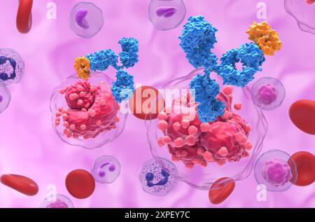 Terapia con anticorpi monoclonali nella leucemia linfocitica acuta (TUTTE) - Vista ravvicinata illustrazione 3d. Foto Stock