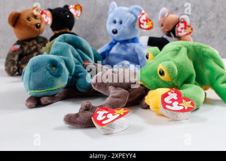 Los Angeles, California, Stati Uniti - 24-08-2021: Una vista di una collezione di giocattoli di animali peluche Beanie Babies. Foto Stock