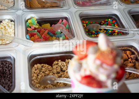 Una vista di diversi contenitori pieni di condimenti in un ambiente di yogurt congelato o gelateria. Foto Stock