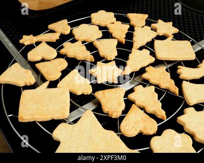 Primo piano di gustosi biscotti biologici di Natale in cucina, cibo di stagione Foto Stock