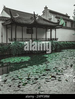 Un giardino cinese tradizionale con gazebo che si affaccia su un laghetto coperto di ninfee e ninfee. Foto Stock