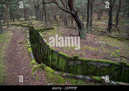 Linea difensiva di fortificazione della Guerra fredda a Hel, Polonia © Wojciech Strozyk / Alamy Stock Photo Foto Stock