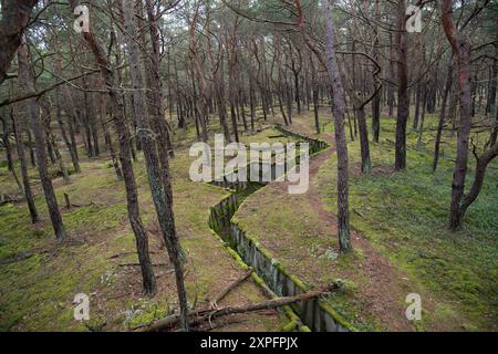 Linea difensiva di fortificazione della Guerra fredda a Hel, Polonia © Wojciech Strozyk / Alamy Stock Photo Foto Stock