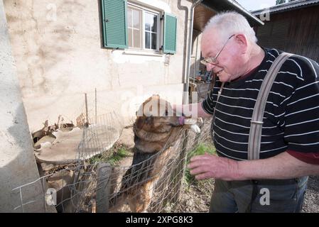 c'era sempre un forte legame tra gli animali e gli esseri umani, un forte legame tra gli animali e gli esseri umani Foto Stock