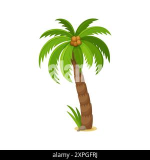 Palme con noci di cocco, piante di foglie della giungla cartoni animati per la spiaggia estiva, icona vettoriale. Palma tropicale di cocco o cocco con foglie verdi e noci per ha Illustrazione Vettoriale