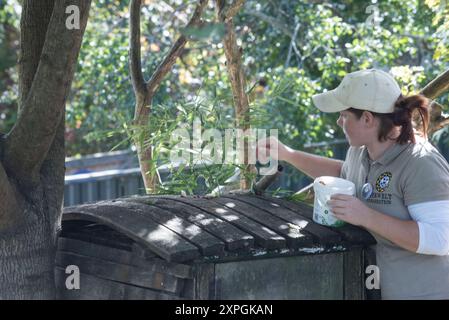 c'era sempre un forte legame tra gli animali e gli esseri umani, un forte legame tra gli animali e gli esseri umani Foto Stock