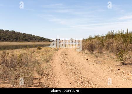 Una strada sterrata attraversa un paesaggio arido e asciutto. Ci sono cespugli, una palude o un fiume e un cancello di chiusura sullo sfondo. Foto Stock