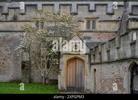 Wells, Cattedrale, Hof in der Nähe Vicar's Close Foto Stock