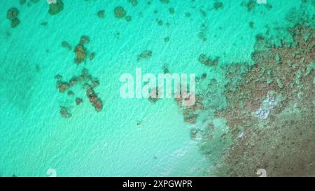 Vista aerea dell'isola tropicale di acque turchesi nella Polinesia francese. Barriere coralline dall'acqua cristallina dall'alto verso il basso. La bellezza dell'oceano Pacifico meridionale. Viaggi all'aperto durante le vacanze estive Foto Stock