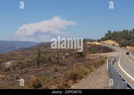 Chico, Stati Uniti. 5 agosto 2024. Il fumo sorge dall'incendio del parco il 5 agosto 2024, su un terreno bruciato vicino a Chico, CA. (Foto di Daniel Brown/Sipa USA) credito: SIPA USA/Alamy Live News Foto Stock
