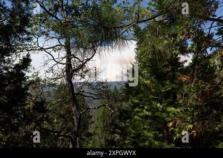 Forest Ranch, Stati Uniti. 5 agosto 2024. Il fumo sorge dall'incendio del parco il 5 agosto 2024, vicino a Forest Ranch, CA. (Foto di Daniel Brown/Sipa USA). Crediti: SIPA USA/Alamy Live News Foto Stock