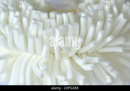 primo piano del corpo e della schiena per la doccia con manico in plastica e fondo Foto Stock