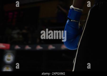 Immagine ravvicinata di guanti da boxe con anello da combattimento ottagonale, sfondo scuro. Copia spazio per il testo. Foto Stock