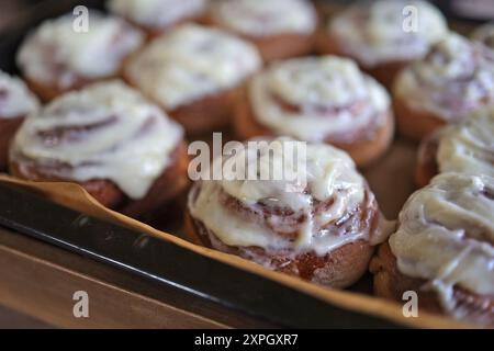 Rotoli di cannella appena sfornati sul vassoio da forno Foto Stock