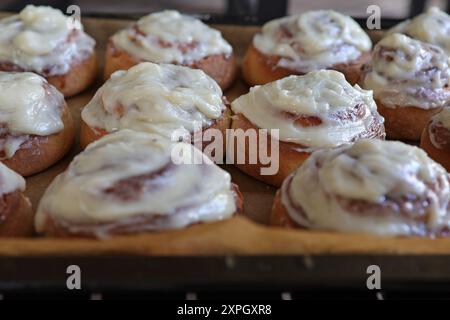 Rotoli di cannella appena sfornati sul vassoio da forno Foto Stock