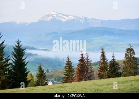 Mattina nebbiosa nella valle rurale. Lussureggianti colline verdi punteggiate da case e alberi, con uno strato di nebbia. Sullo sfondo, le montagne innevate si innalzano maestosamente sotto il morbido cielo pastello. Petros, Ucraina. Foto Stock