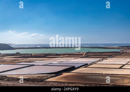 Estrazione tradizionale di sale a Salinas de Janubio, sull'isola di Lanzarote, Isole Canarie, Spagna Foto Stock