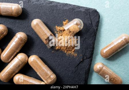 Withania somnifera conosciuta come ashwagandha. Capsule integratore di polvere di radice di Ashwagandha su sfondo nero. Foto Stock