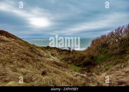 Vista sulle dune della Zelanda, Paesi Bassi Foto Stock