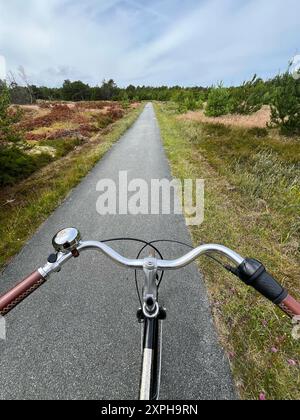 Giro in bicicletta attraverso la foresta di Skagen. Vista dall'alto del manubrio dal lato del ciclista. Foto Stock
