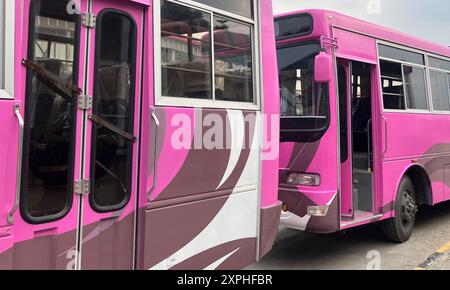 Islamabad, Pakistan. 6 agosto 2024. Un autobus dipinto di rosa per i trasporti pubblici urbani, solo per le donne, si trova sul lato della strada. I primi autobus per sole donne sono destinati a circolare per le strade della capitale pakistana Islamabad. Con lo slogan "No Fear, No Barrier", i veicoli rosa sono destinati a fornire un trasporto sicuro per insegnanti, studenti e alunni. Crediti: Nabila Lalee/dpa/Alamy Live News Foto Stock