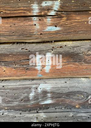 Vecchio muro di legno. I registri sono numerati per lo smontaggio. Foto Stock