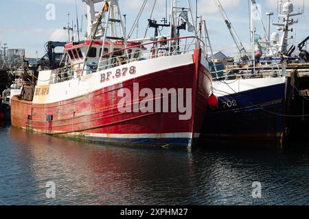 Barche da pesca nel porto, Mallaig, una piccola città e porto di Morar, sulla costa occidentale delle Highlands scozzesi. Foto Stock