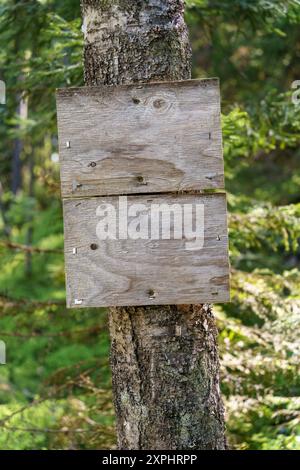 Cartello di legno vuoto su un albero in Finlandia Foto Stock