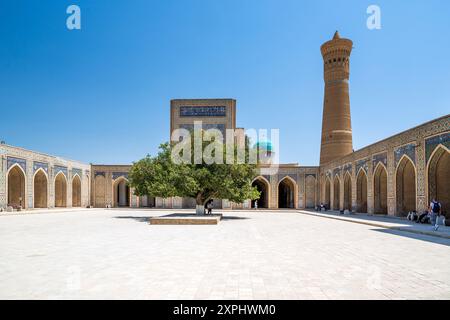 Kalyan (Kalon) Moschea, Bukhara, Uzbekistan Foto Stock