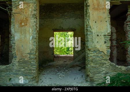 Rovine di edifici abbandonati con vegetazione sovrastata Foto Stock