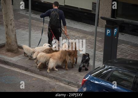 c'era sempre un forte legame tra gli animali e gli esseri umani, un forte legame tra gli animali e gli esseri umani Foto Stock