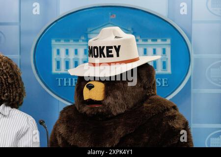 Washington, Stati Uniti. 6 agosto 2024. Smokey the Bear posa per le foto nella White House Press Briefing Room. Smokey festeggia il suo 80° compleanno il 9 agosto. (Foto di Aaron Schwartz/Sipa USA) credito: SIPA USA/Alamy Live News Foto Stock