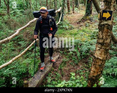 Lawrencetown Village, Irlanda. 23 giugno 2024. Si vede un escursionista attraversare un ponte fatto di tronchi. L'Ireland Way è un sentiero che si unisce alla "Beara-Breifne Way” che inizia a Cork, nella Repubblica d'Irlanda, e si collega all'Ulster Way, che copre l'Irlanda del Nord. (Foto di Ana Fernandez/SOPA Images/Sipa USA) credito: SIPA USA/Alamy Live News Foto Stock