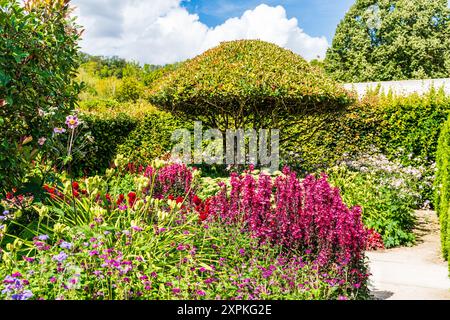 Giardino colorato nella casa del pittore impressionista francese Claude Monet e studio d'artista a Giverny, regione della Normandia, Francia. Foto Stock