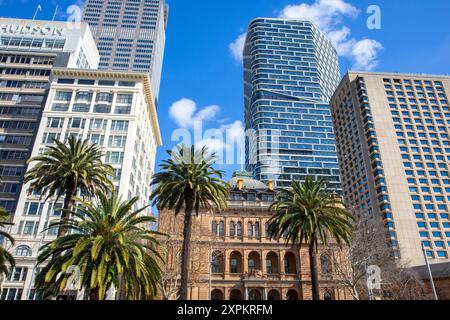 Edifici moderni e vecchi per uffici nel centro di Sydney lungo Macquarie Street con palme in primo piano, Sydney, NSW, Australia Foto Stock